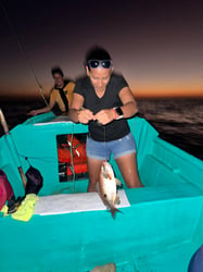 Inshore Fishing Tour